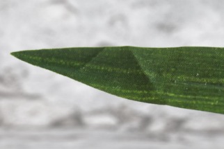 La solution pour défroisser les feuilles d'un arbre artificiel