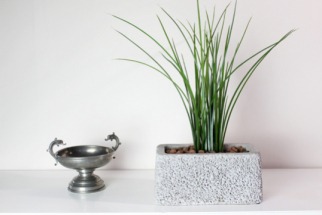 Le guide des graminées et plantes d'eau artificielles