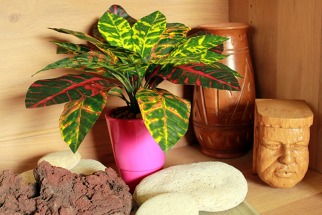 Des mini plantes artificielles pour les mini espaces