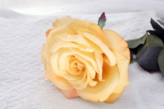 Le guide des roses artificielles