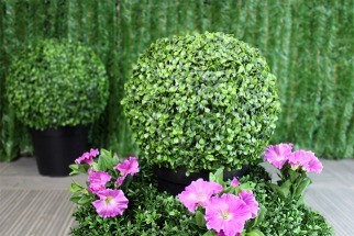 Les buis artificiels au service des jardiniers