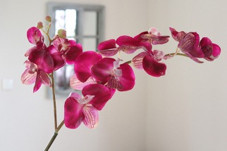 4 exemples de déco avec des orchidées artificielles