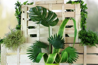 Des feuilles tropicales pour déco exotique