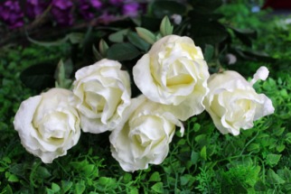 Histoire et origine des plantes et fleurs artificielles