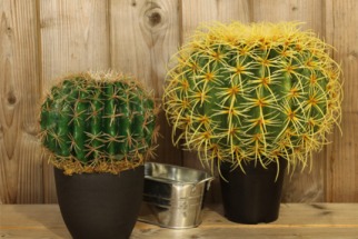 3 idées déco avec des cactus artificiels en boule